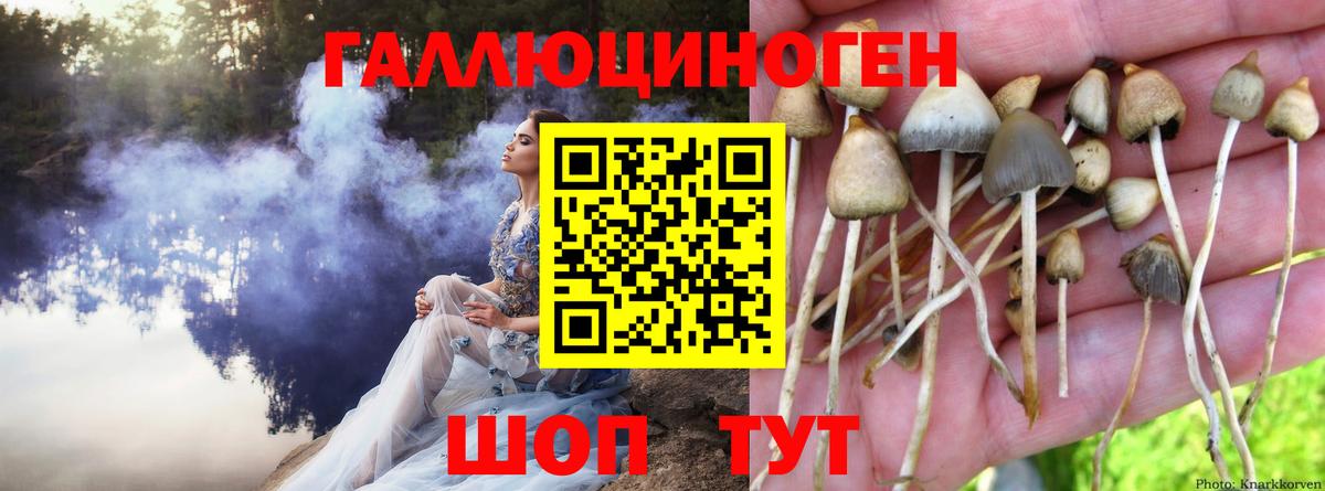 Галлюциногенные грибы мухоморы Лыткарино